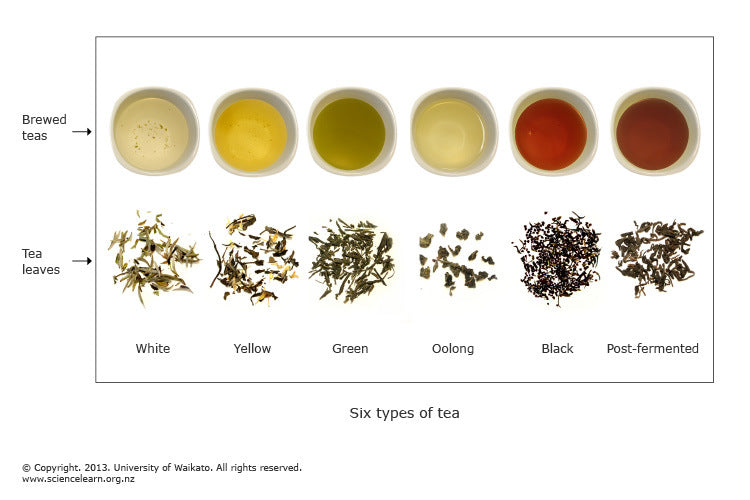 Should you Mix Teas Together? – KitchenKite