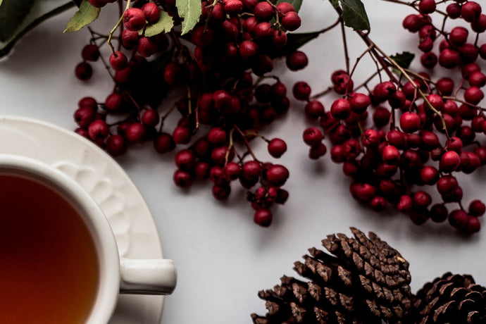 Best Teas to Drink During the Holiday